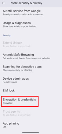 Encryption & credentials option