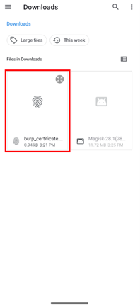 Select the Burp certificate file